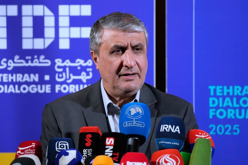 رئیس سازمان انرژی اتمی ایران از کنفرانس آژانس بین‌المللی انرژی اتمی در وین غیبت کرد