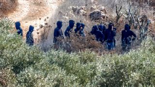 مستوطنون اسرائیلی دزد برداشت زیتون فلسطینیان را در کرانه باختری تحت فشار قرار دادند